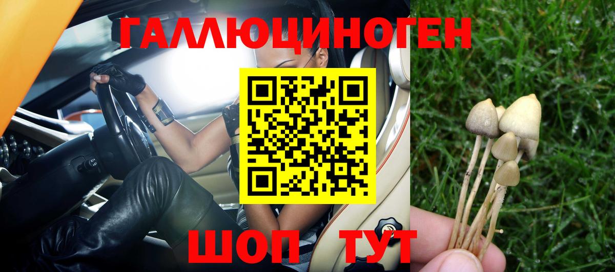 Губаха  Псилоцибиновые грибы GOLDEN TEACHER  Вход с VPN 