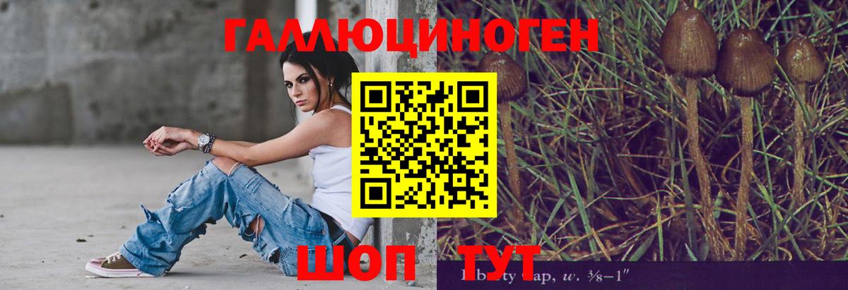 Псилоцибиновые грибы мицелий Губаха